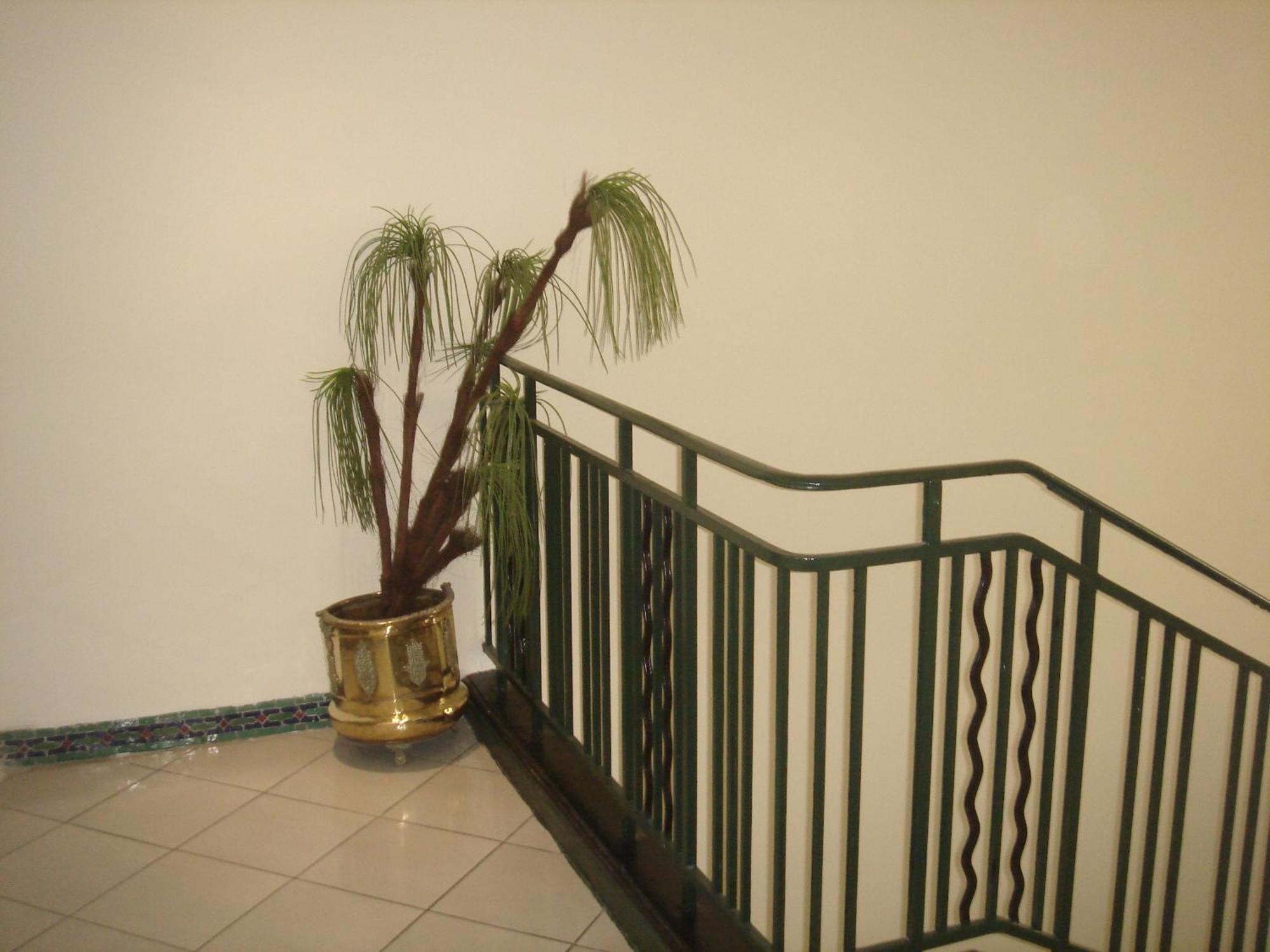 Hotel Olympic Fez Exterior foto